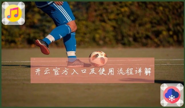 开云官方入口及使用流程详解