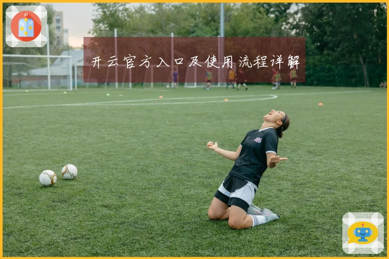 开云官方入口及使用流程详解