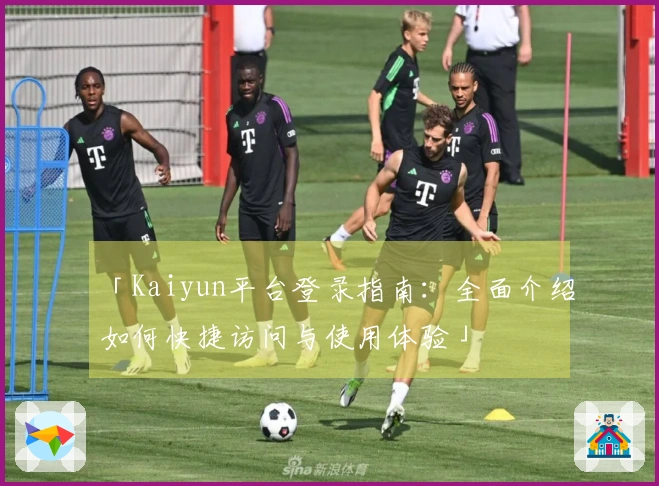 「Kaiyun平台登录指南:全面介绍如何快捷访问与使用体验」