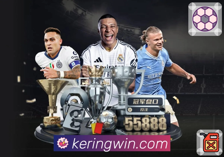 开云APP 体育赛事宣传图